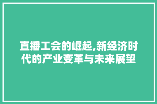 直播工会的崛起,新经济时代的产业变革与未来展望