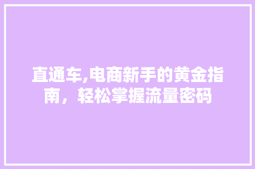直通车,电商新手的黄金指南，轻松掌握流量密码