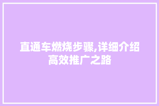直通车燃烧步骤,详细介绍高效推广之路