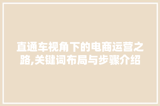 直通车视角下的电商运营之路,关键词布局与步骤介绍