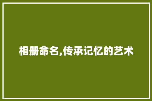 相册命名,传承记忆的艺术 电脑配置