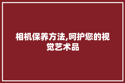 相机保养方法,呵护您的视觉艺术品