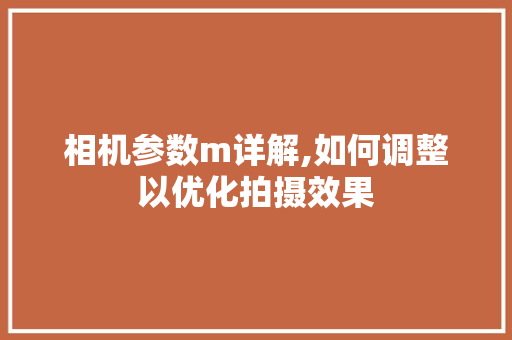 相机参数m详解,如何调整以优化拍摄效果