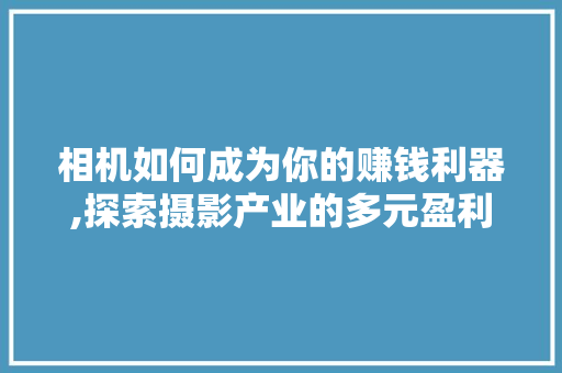 相机如何成为你的赚钱利器,探索摄影产业的多元盈利模式