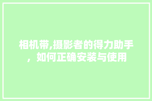 相机带,摄影者的得力助手，如何正确安装与使用