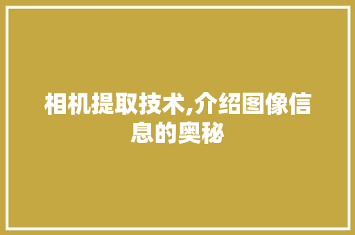 相机提取技术,介绍图像信息的奥秘