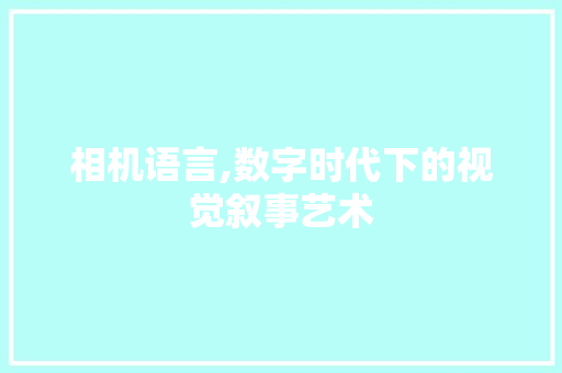 相机语言,数字时代下的视觉叙事艺术