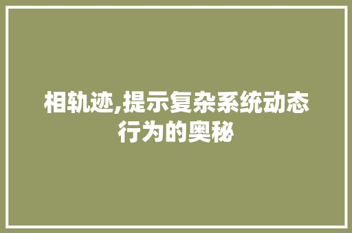 相轨迹,提示复杂系统动态行为的奥秘