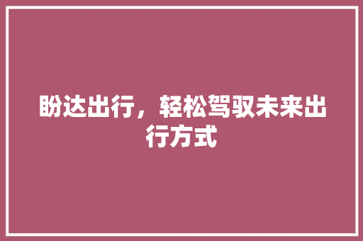 盼达出行，轻松驾驭未来出行方式