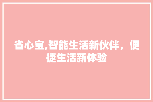 省心宝,智能生活新伙伴，便捷生活新体验