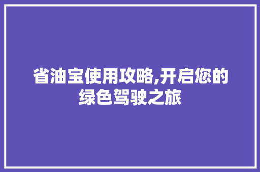 省油宝使用攻略,开启您的绿色驾驶之旅