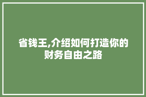 省钱王,介绍如何打造你的财务自由之路
