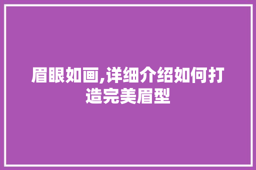 眉眼如画,详细介绍如何打造完美眉型