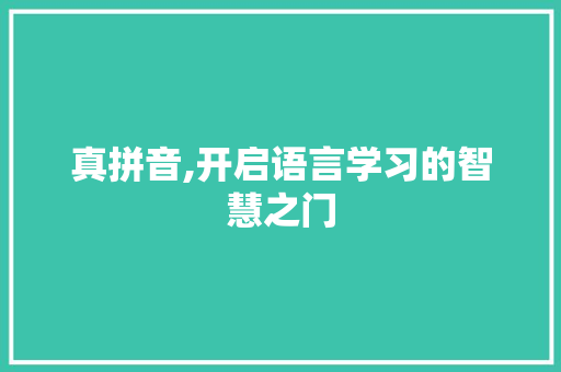 真拼音,开启语言学习的智慧之门