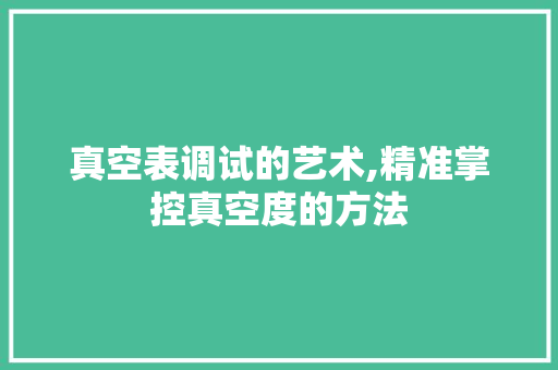 真空表调试的艺术,精准掌控真空度的方法