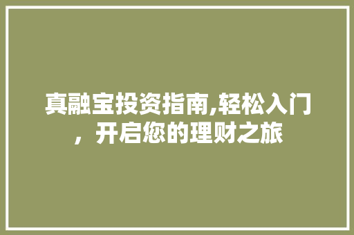 真融宝投资指南,轻松入门，开启您的理财之旅