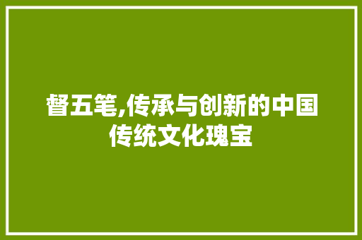 督五笔,传承与创新的中国传统文化瑰宝