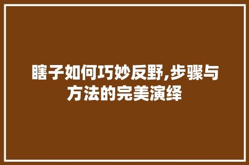 瞎子如何巧妙反野,步骤与方法的完美演绎 电脑配置