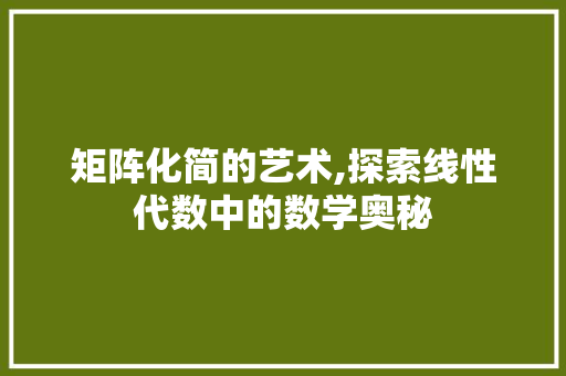 矩阵化简的艺术,探索线性代数中的数学奥秘 操作系统 矩阵化简的艺术,探索线性代数中的数学奥秘 操作系统