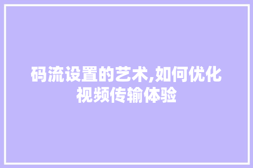 码流设置的艺术,如何优化视频传输体验