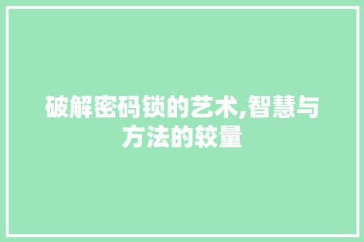 破解密码锁的艺术,智慧与方法的较量 破解密码锁的艺术,智慧与方法的较量