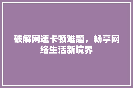 破解网速卡顿难题，畅享网络生活新境界