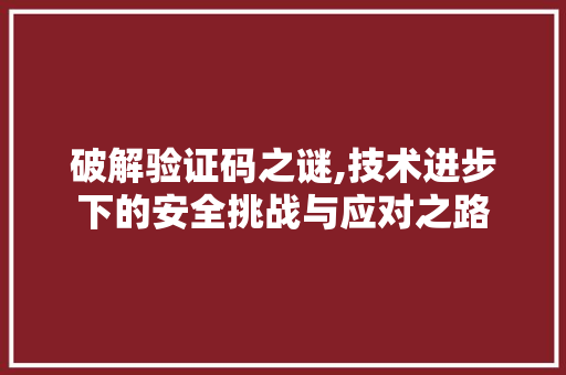 破解验证码之谜,技术进步下的安全挑战与应对之路
