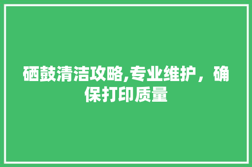硒鼓清洁攻略,专业维护，确保打印质量