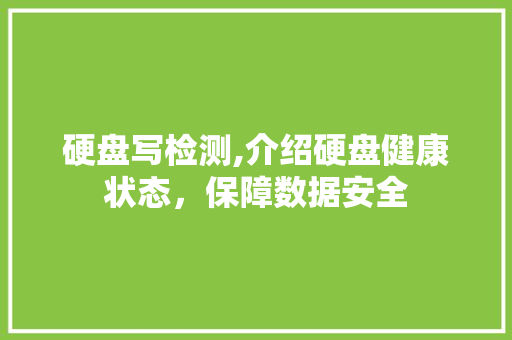 硬盘写检测,介绍硬盘健康状态，保障数据安全