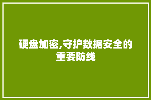 硬盘加密,守护数据安全的重要防线