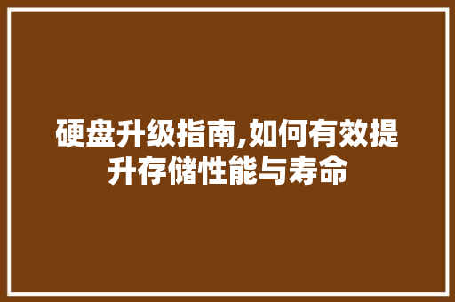 硬盘升级指南,如何有效提升存储性能与寿命