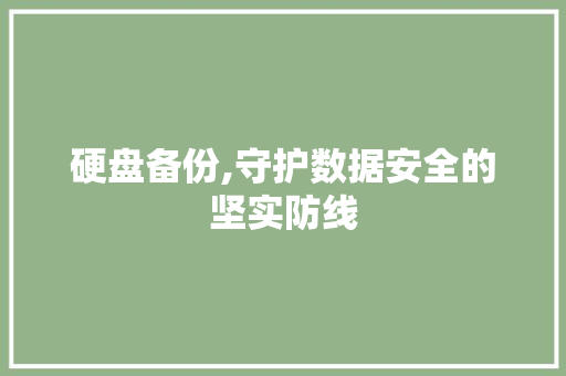 硬盘备份,守护数据安全的坚实防线