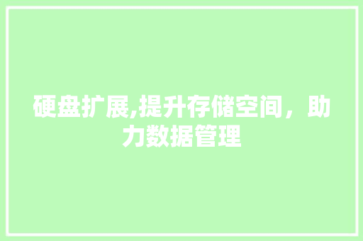 硬盘扩展,提升存储空间，助力数据管理