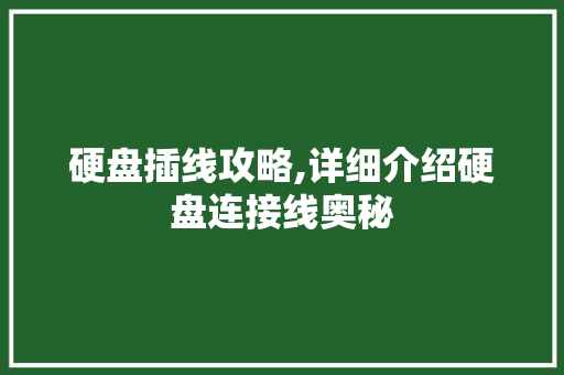 硬盘插线攻略,详细介绍硬盘连接线奥秘
