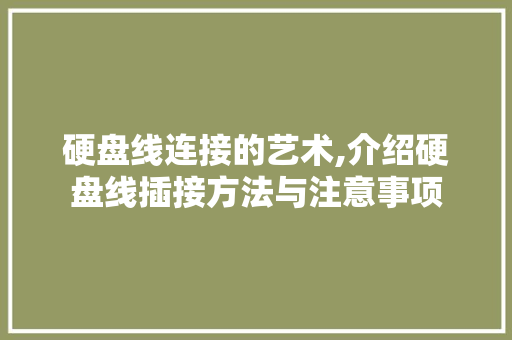 硬盘线连接的艺术,介绍硬盘线插接方法与注意事项