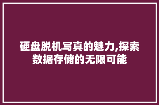 硬盘脱机写真的魅力,探索数据存储的无限可能