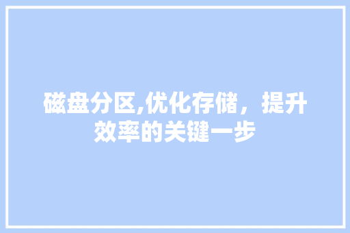 磁盘分区,优化存储，提升效率的关键一步