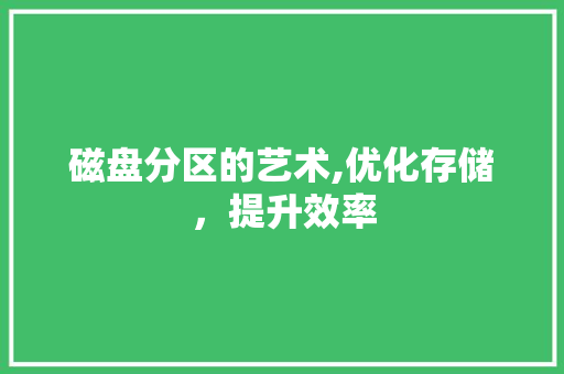 磁盘分区的艺术,优化存储，提升效率