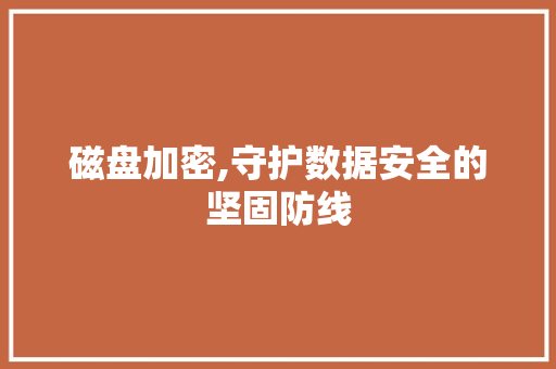 磁盘加密,守护数据安全的坚固防线
