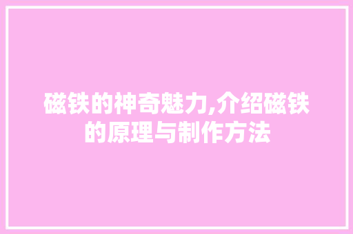 磁铁的神奇魅力,介绍磁铁的原理与制作方法