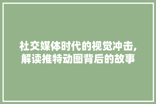 社交媒体时代的视觉冲击,解读推特动图背后的故事
