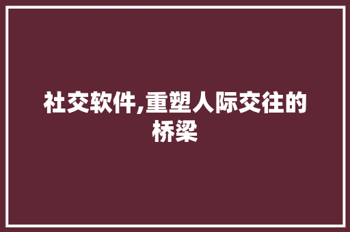 社交软件,重塑人际交往的桥梁