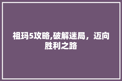 祖玛5攻略,破解迷局，迈向胜利之路