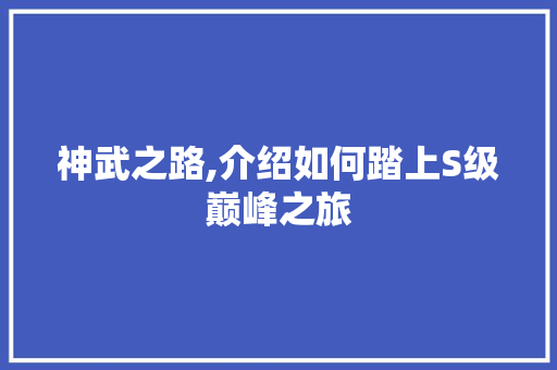 神武之路,介绍如何踏上S级巅峰之旅