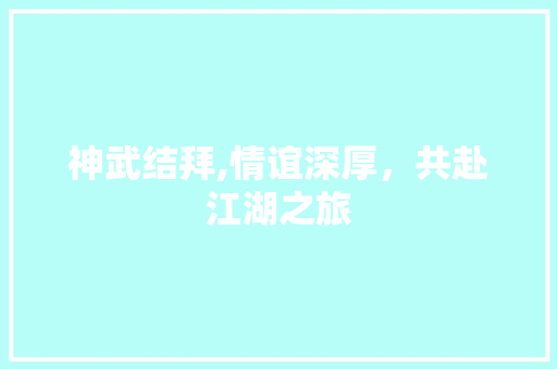 神武结拜,情谊深厚,共赴江湖之旅 神武结拜,情谊深厚,共赴江湖之旅