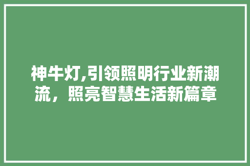 神牛灯,引领照明行业新潮流,照亮智慧生活新篇章 神牛灯,引领照明行业新潮流,照亮智慧生活新篇章