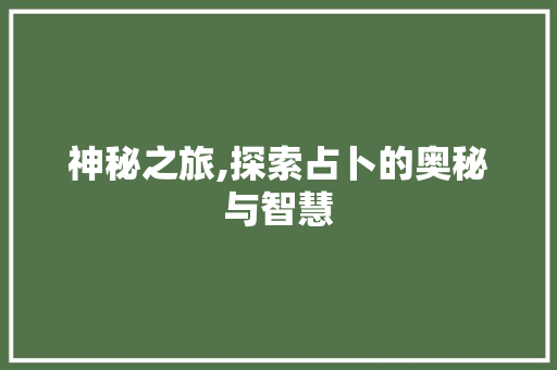 神秘之旅,探索占卜的奥秘与智慧 神秘之旅,探索占卜的奥秘与智慧
