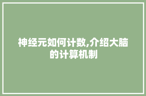 神经元如何计数,介绍大脑的计算机制