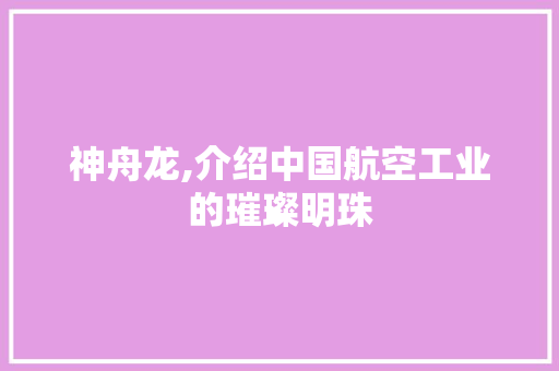 神舟龙,介绍中国航空工业的璀璨明珠 神舟龙,介绍中国航空工业的璀璨明珠