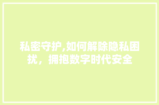 私密守护,如何解除隐私困扰，拥抱数字时代安全